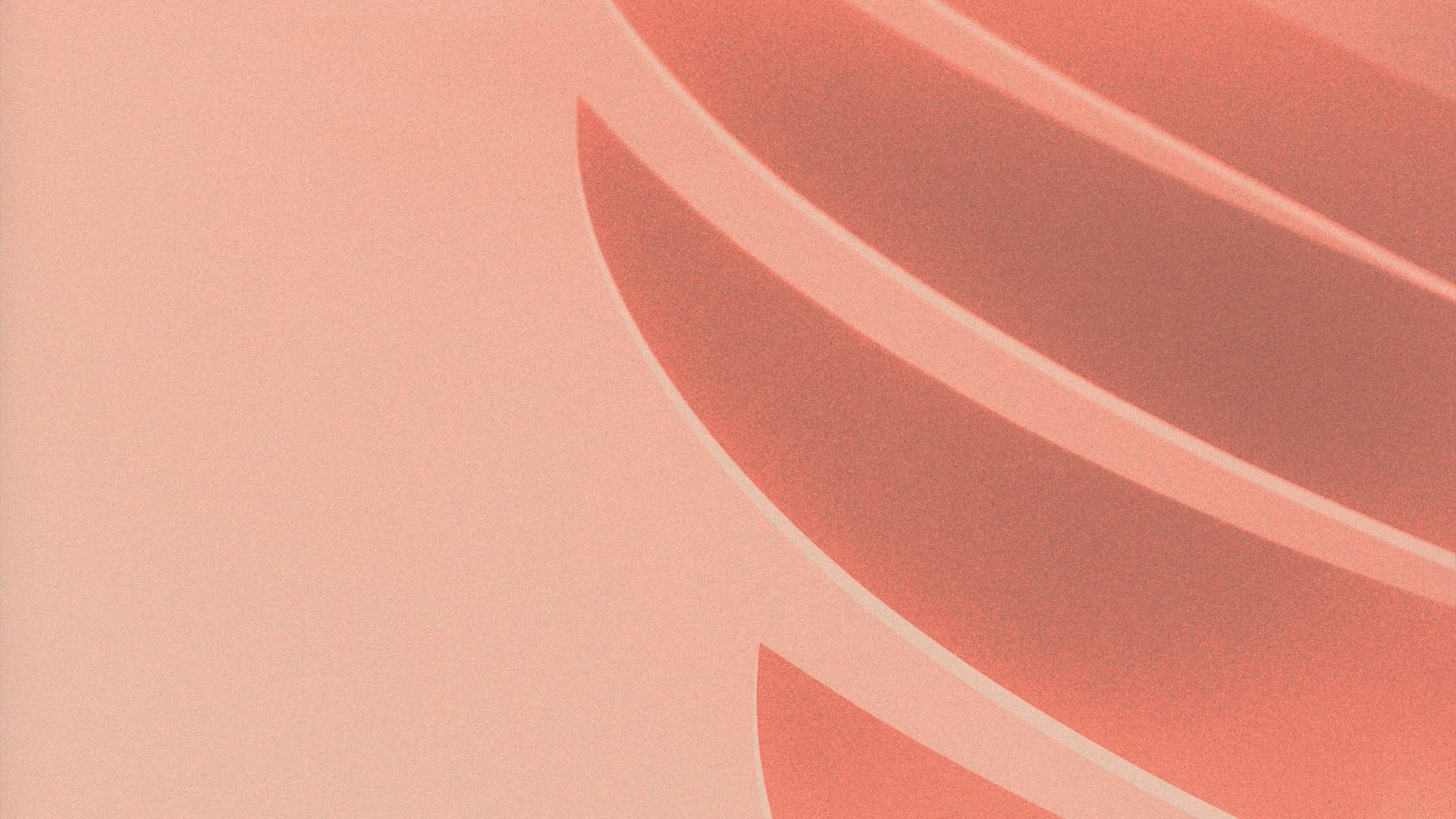 Flash USDT Generator